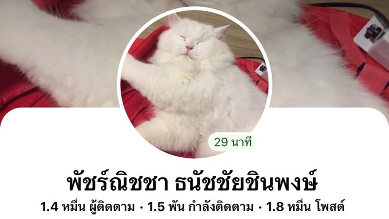 อินฟลูฯสาว