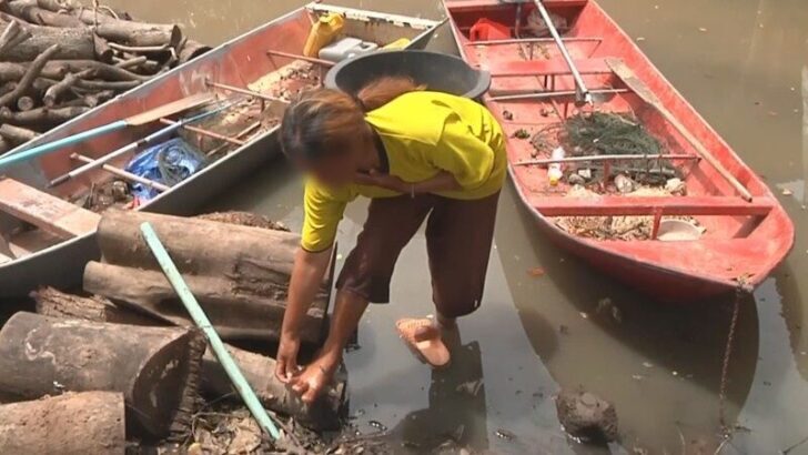 Melioidosis Outbreak Kills 45 in Northeastern Thailand