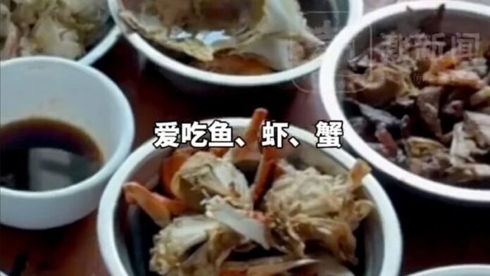 ลู่ ซื่อเจิง