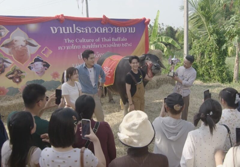 พ้อยท์ - ผิงผิง เสิร์ฟเคมีใหม่ “หอมรักบ้านทุ่ง” ถ่ายทอดสายใยรักคนกับน้องควาย