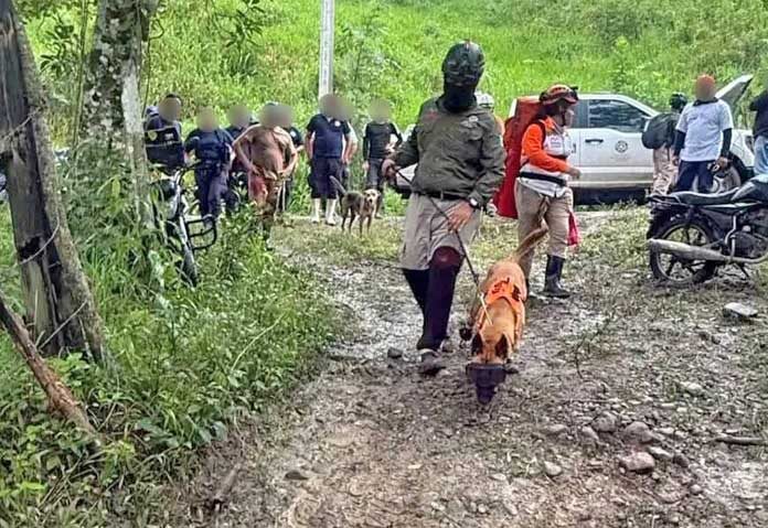 เหตุการณ์ความรุนแรงในช่วงสุดสัปดาห์ปะทุขึ้นหลังจากเกิดเหตุฆาตกรรมเด็กหญิงวัย 12 ปีและคุณย่าของเธอ โดยเมื่อวันที่ 19 ตุลาคมที่ผ่านมา อาเรียนาและมิเรียมได้ออกจากบ้านเพื่อไปเยี่ยมฟาร์มแห่งหนึ่งในหมู่บ้านเล็กๆ ที่ชื่อว่า ตันชิชาล (Tanchichal) แต่ทั้งสองคนก็ไม่ได้กลับบ้านอีกเลย