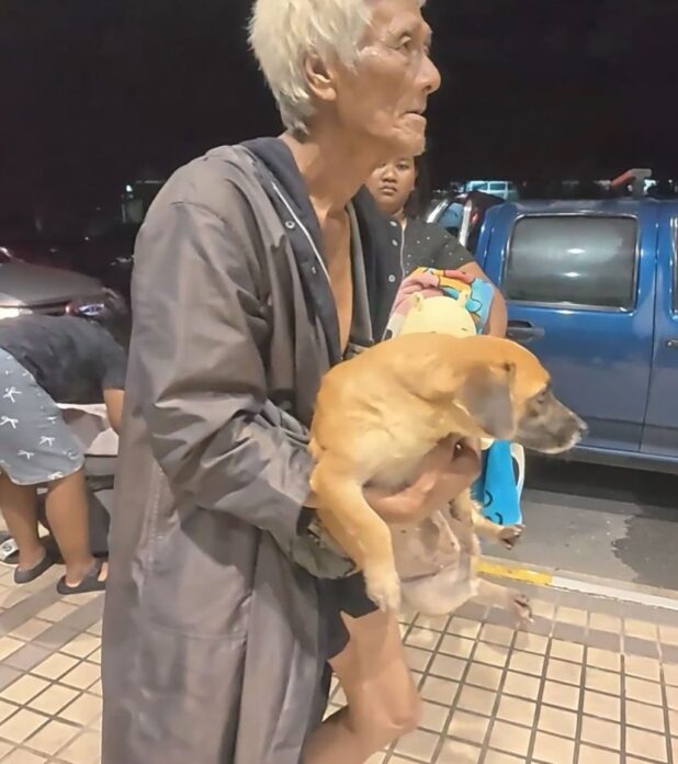 เพื่อนตัวเล็ก