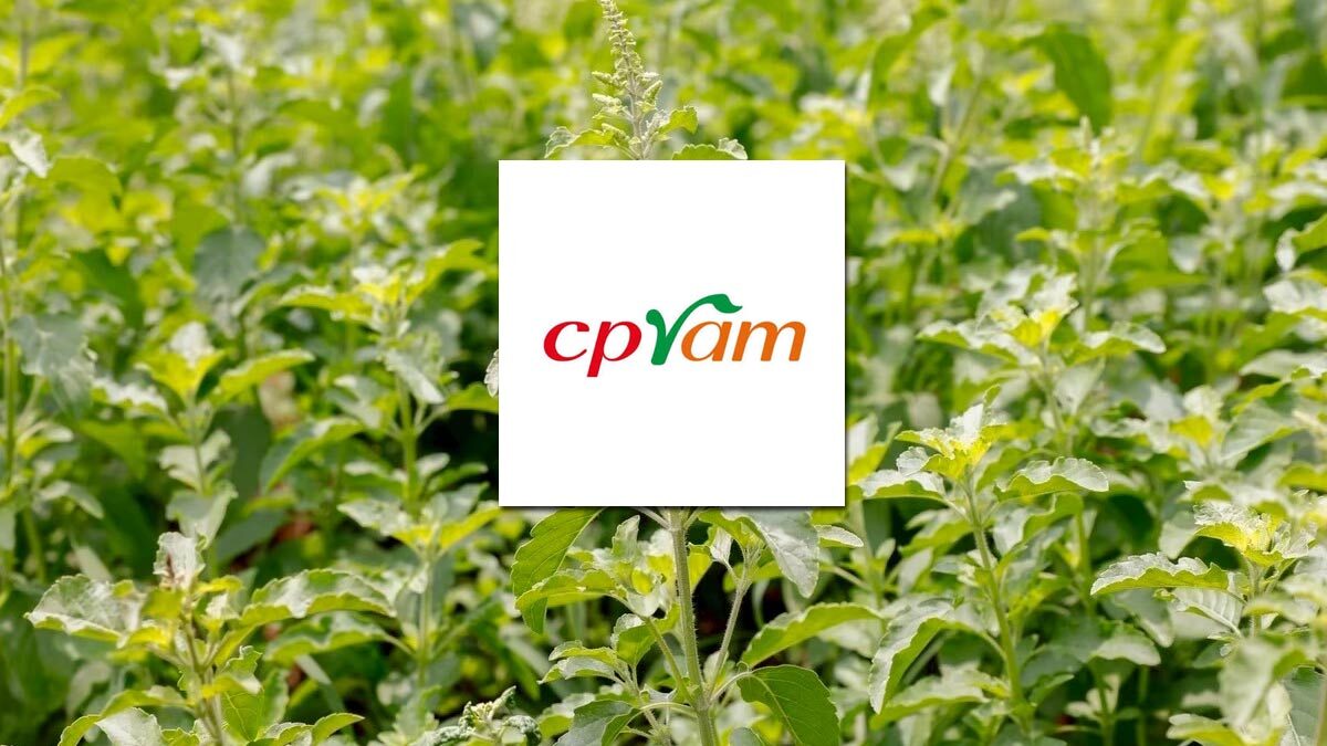 CPRAM Clarifies Basil Registration Only Covers New Varieties