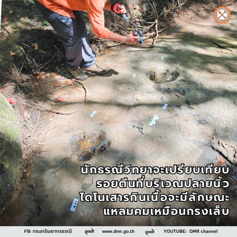 หลาก&หลายท่องเที่ยว