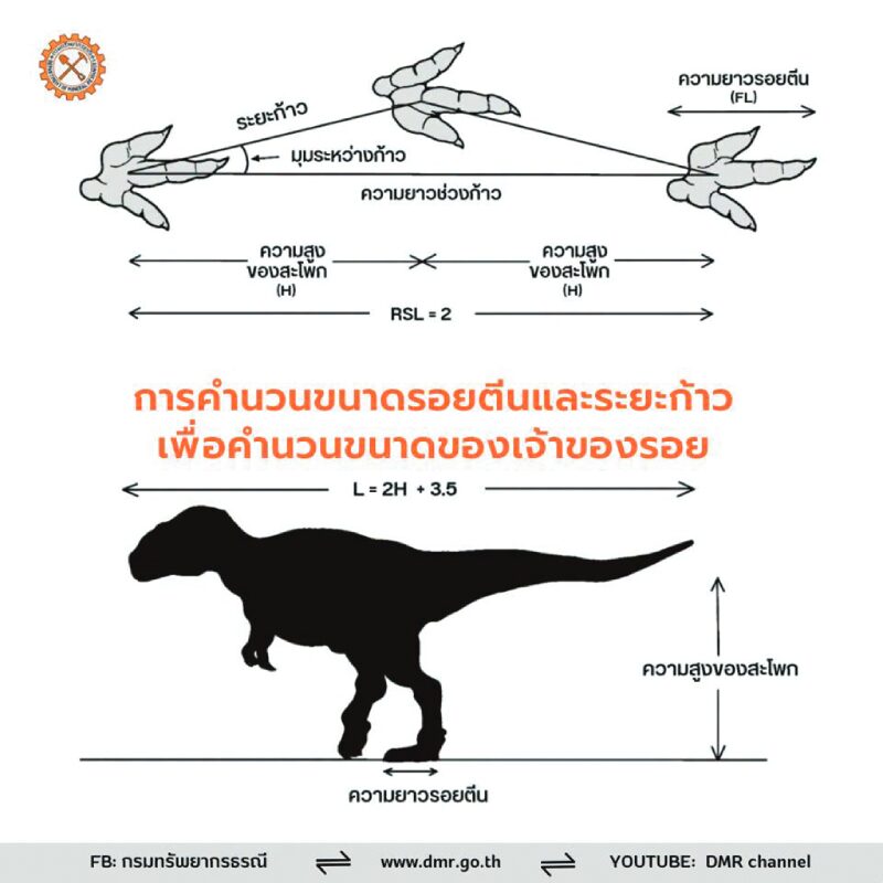 หลาก&หลายท่องเที่ยว
