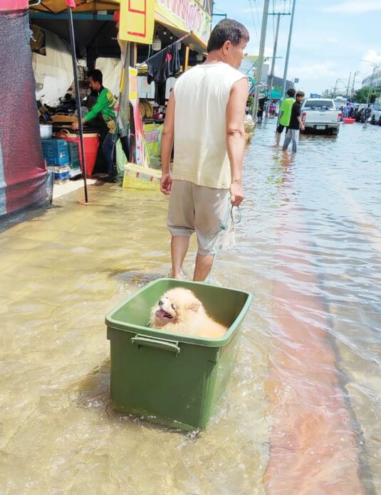 เพื่อนตัวเล็ก
